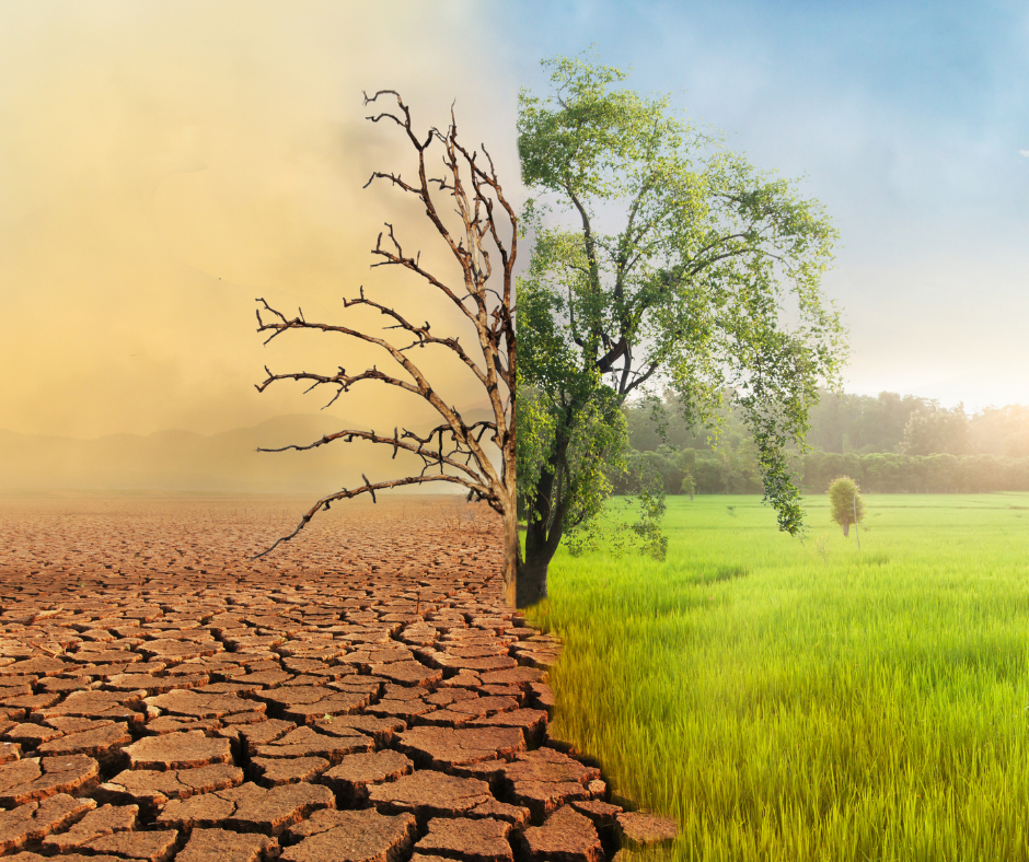 En la mitad de la imagen del lado izquierdo se muestra el contraste de una sequía consecuencia del cambio climático y al lado derecho se muestra un ambiente bien conservado por no destruir el medio ambiente.